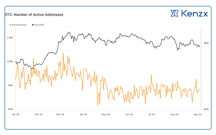 شاخص تعداد آدرسهای فعال (Active Addresses)